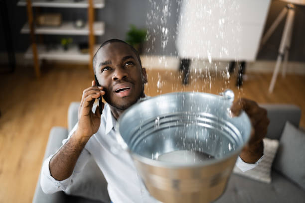 Best Flood restoration services  in Mishicot, WI