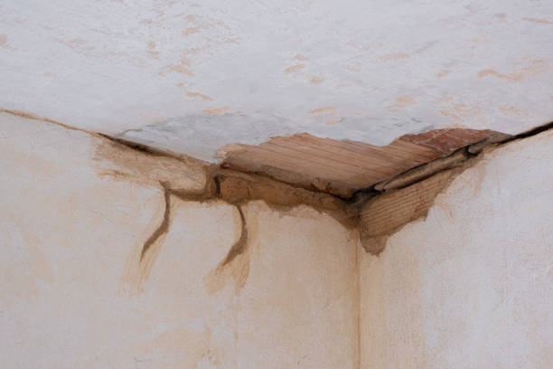 Best Fire Damage Restoration  in Mishicot, WI