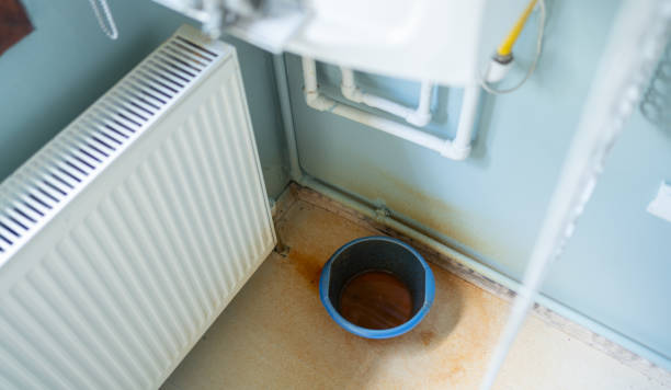 Best Residential water damage restoration  in Mishicot, WI
