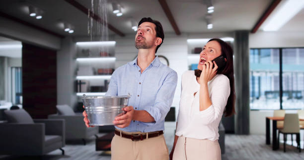 Best Water damage restoration experts  in Mishicot, WI